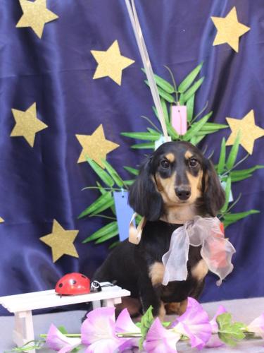 20230706おうたくん